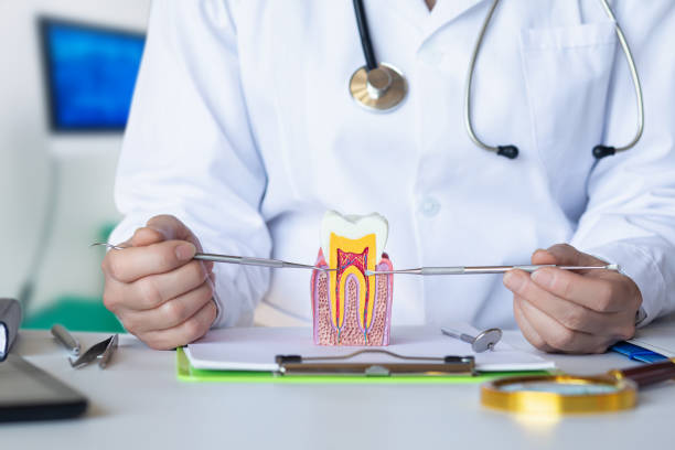 Best Emergency Dental Care for Abscessed Tooth in Grissom Af, IN